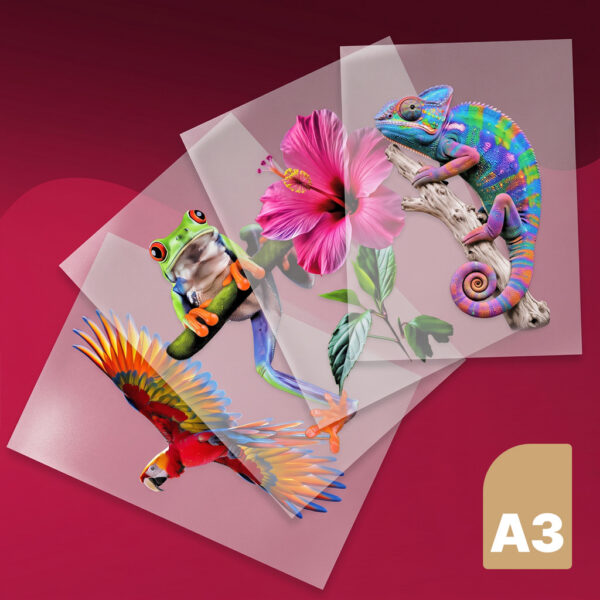 Bogenware A3